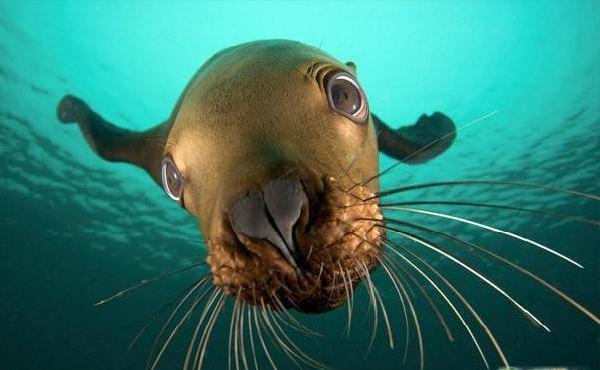 Активный отдых в ЮАР фото