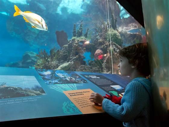 Отдых с детьми в Нью Йорке фото