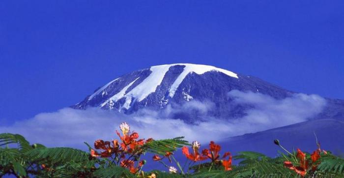 Килиманджаро Африка, фото