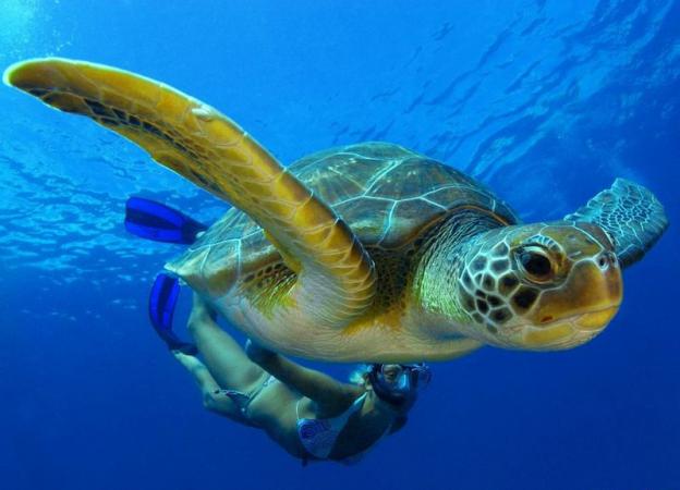 Остров Борнео фото