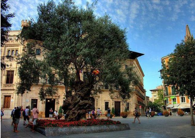 Пласа-де-Корт фото