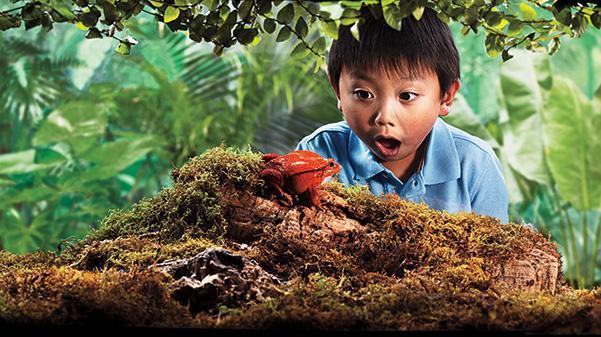 Семейный отдых в Нью-Йорке