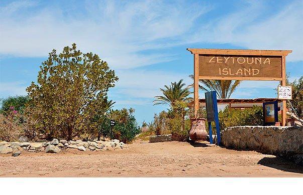 Зейтуна - райский остров в Египте