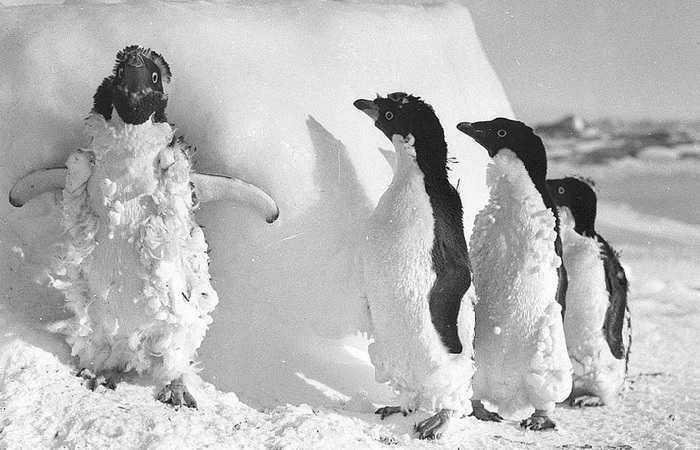 Фото недели, 21 января 2018