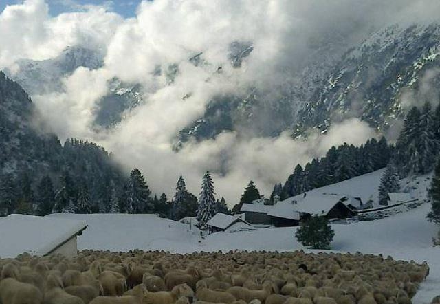 Аланья Вальсезия ски пасс
