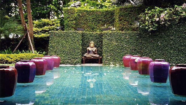 Чива Сом фото