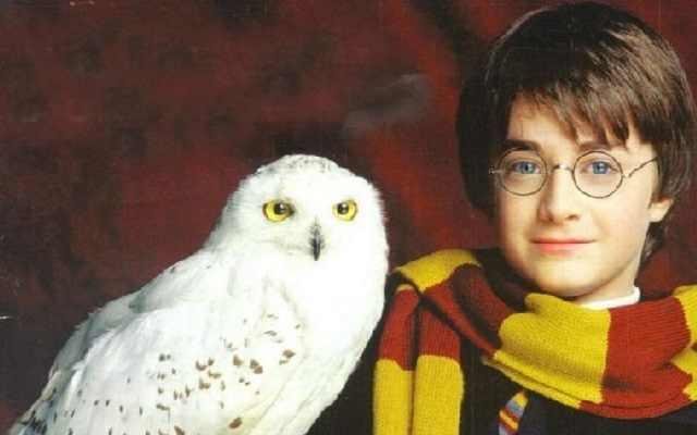 Где снимали Гарри Поттера