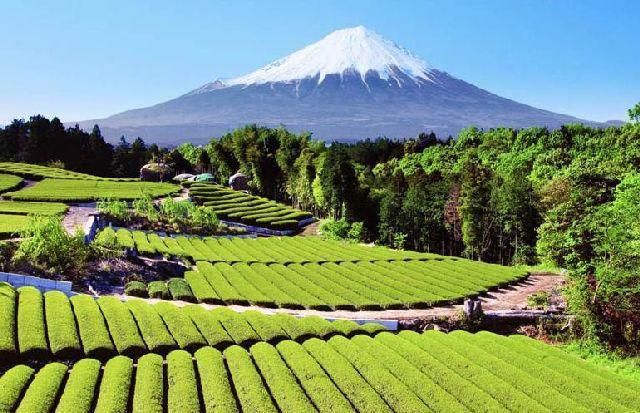 Гора Фудзи