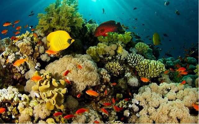 Информация о Египте