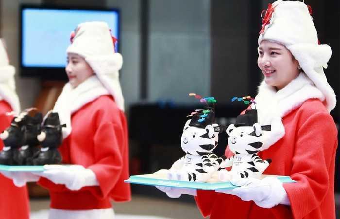 Как попасть на Олимпиаду 2018