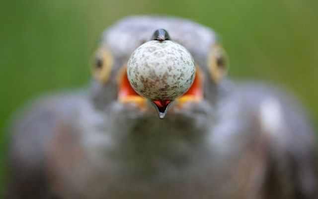 Коста дель Соль отдых с детьми фото