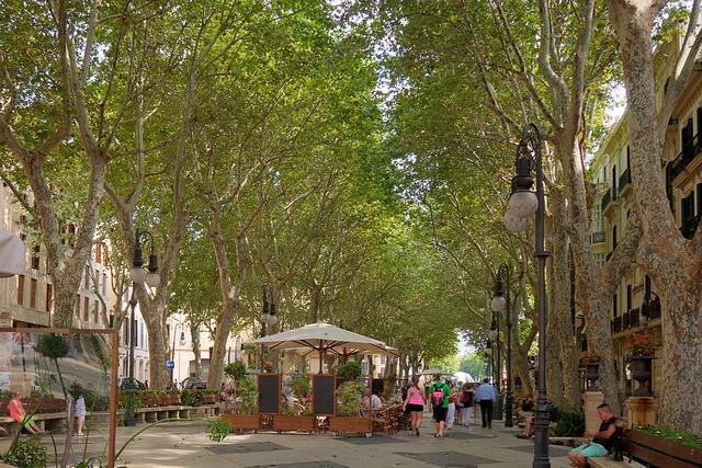 Пассео де Борн