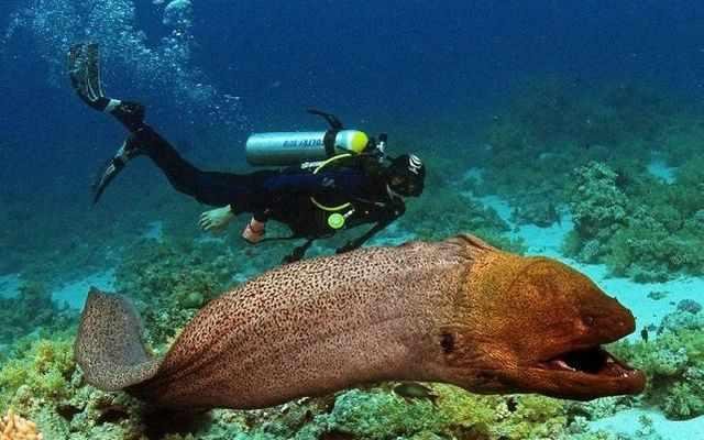 Рас Мохаммед