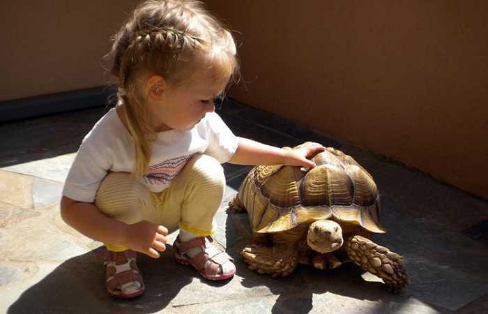 Развлечения на Крите