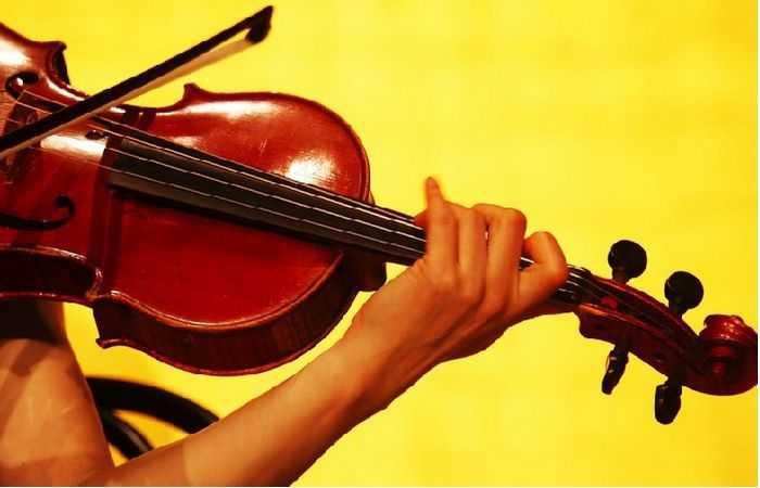 Рождественские концерты в Вене