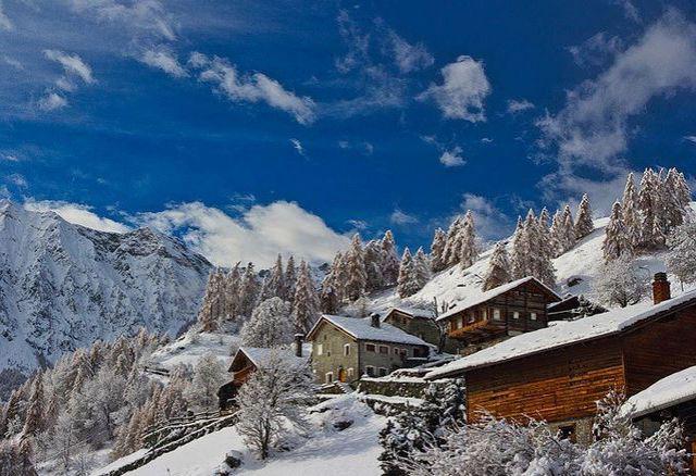 Шамполюк фото