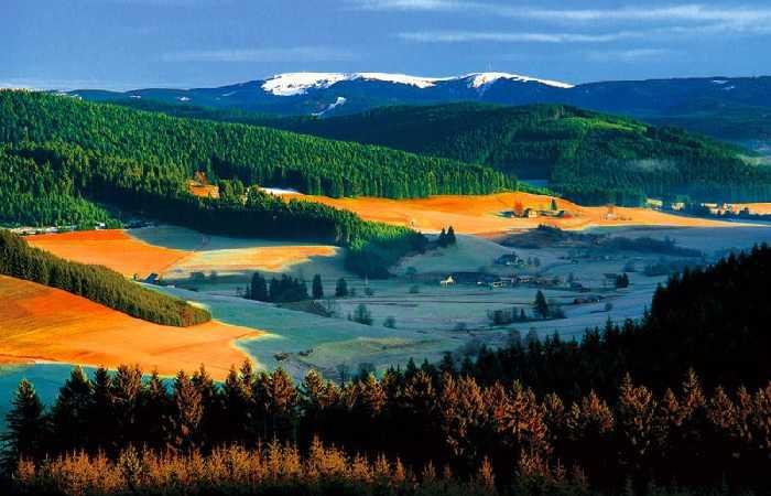 Шварцвальд фото