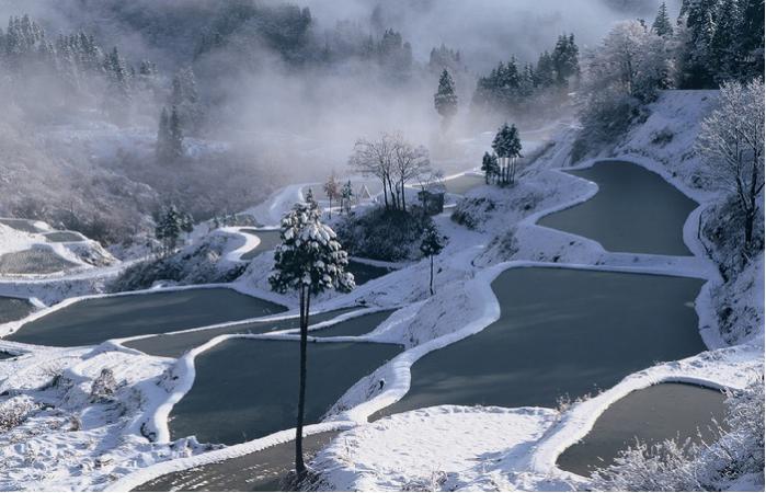 Сильный снегопад в Японии фото