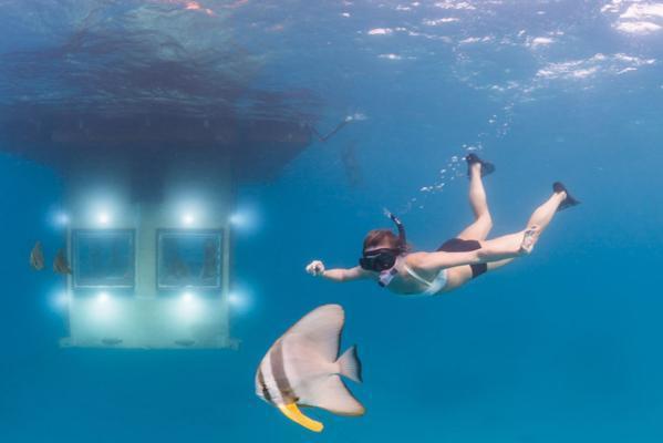 Занзибар подводные отели фото