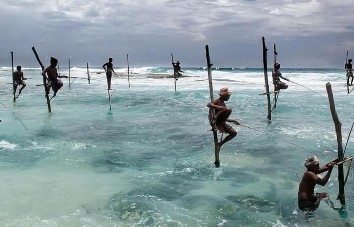 Шри Ланка ввела чрезвычайное положение