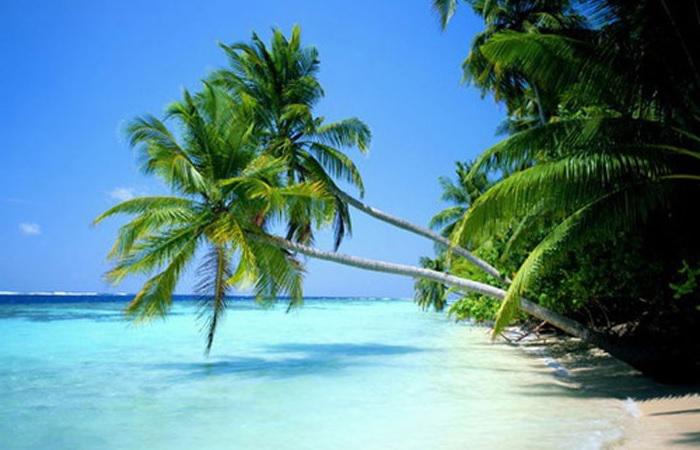 Рейс Москва Доминикана фото