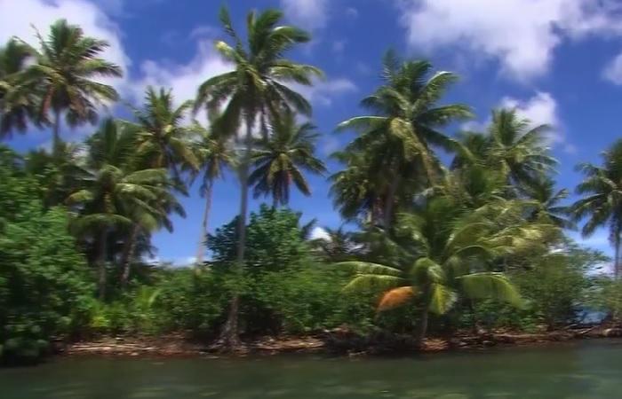 Безвизовые страны для россиян 