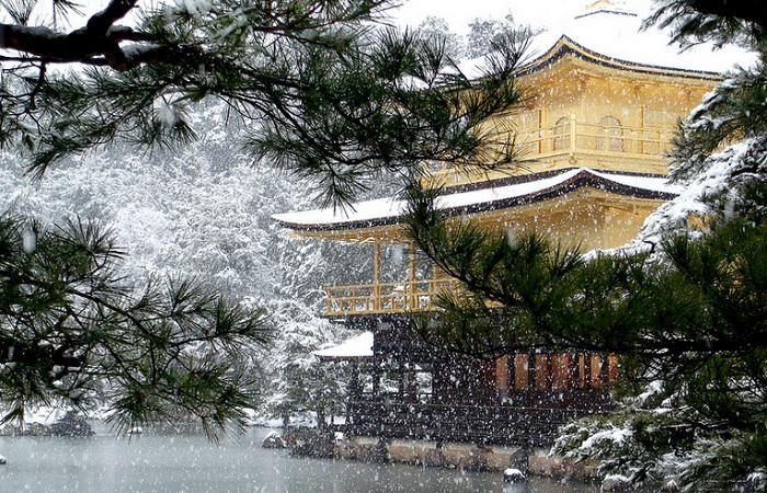 Электронная виза в Японию: процедура, как оформить, цена