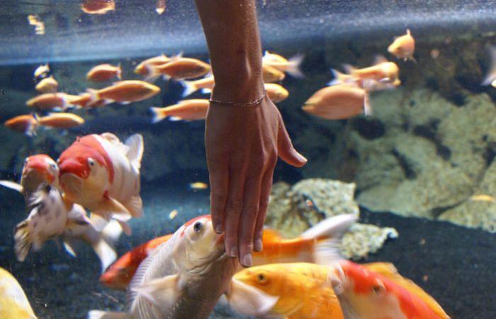 Клуб L'Aquarium Париж фото