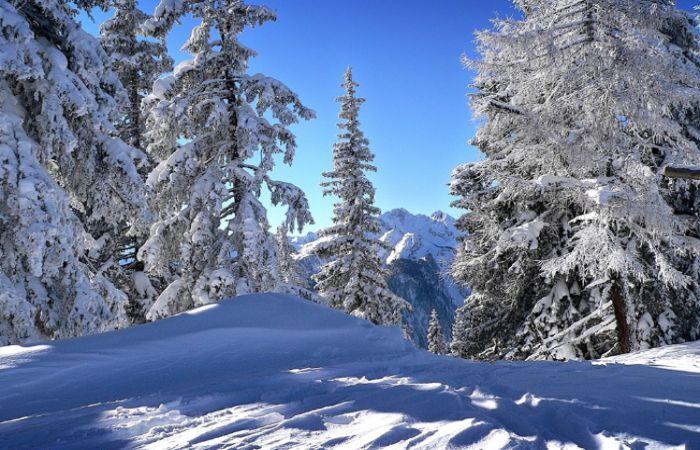 Москва Зальцбург прямой рейс 