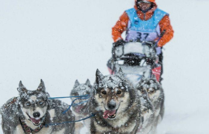 "Большая Одиссея": победитель - россиянин