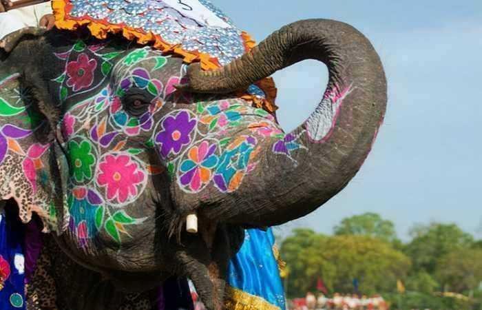 Необычные путешествия по миру фото