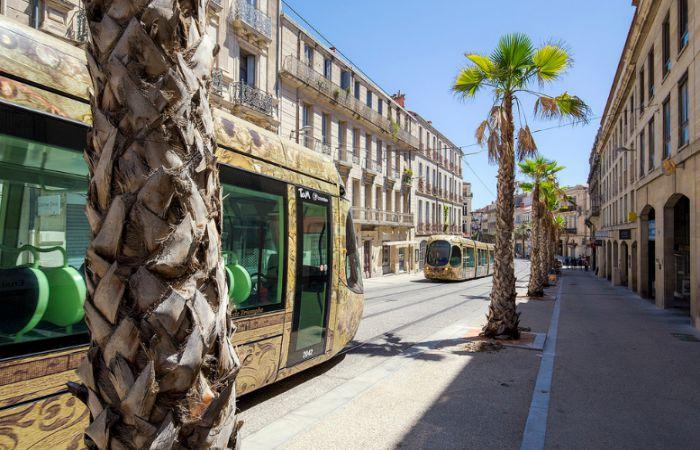 Москва Монпелье: новый прямой рейс, "Уральские авиалинии"