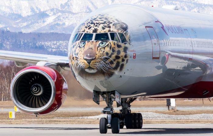 Электронный посадочный талон в Шереметьево