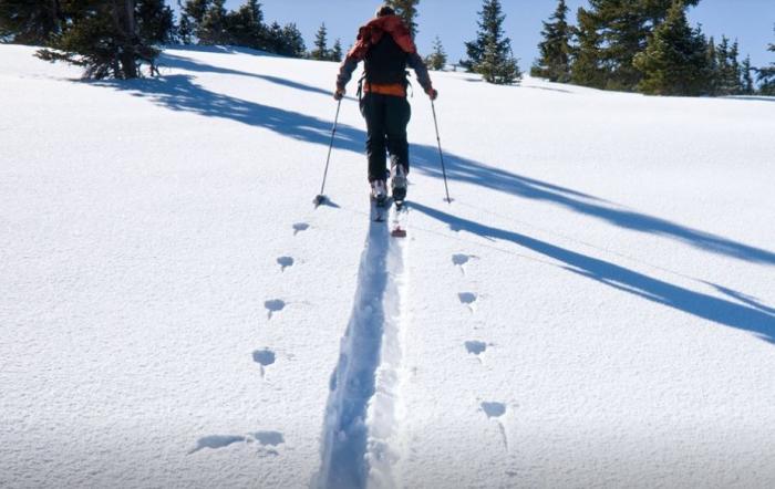  Как отдыхаем на новогодние праздники в 2021 году 