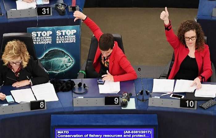 Фото недели, Европарламент голосует за запрет промышленного вылова рыбы с использованием электрики