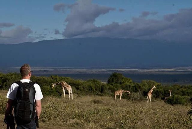 Национальный парк Абердэр, Кения