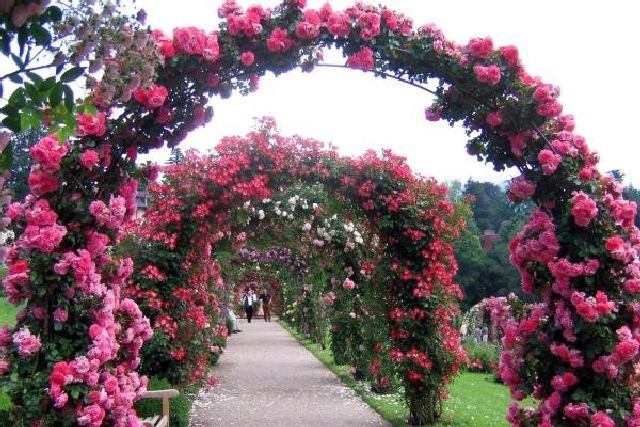 Розовый сад (Rosengarten), Баден Баден отели