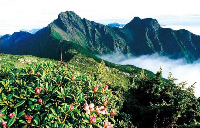 Тайвань, Нефритовые горы и вершина Юйшань