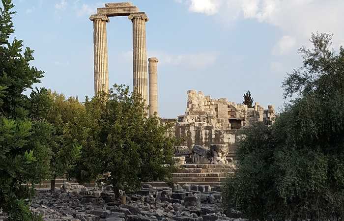 Дидим храм Аполлона