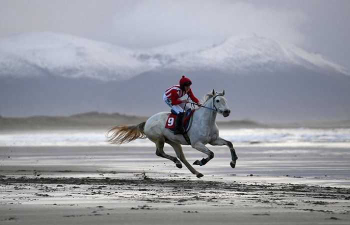 Ирландия, графство Кери. Соревнования беговых лошадей в честь Рождества 