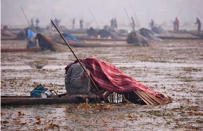 Фото недели, 31 декабря 2017. Индия, Шринагар, рыбаки на озере Анчар