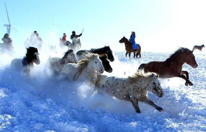 Фото недели, 31 декабря 2017. Внутренняя Монголия, север Китая, пастухи приручают лошадей 