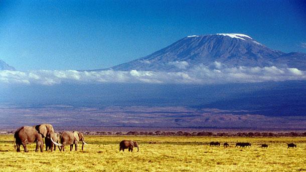 Восхождение на Килиманджаро экстрим туры
