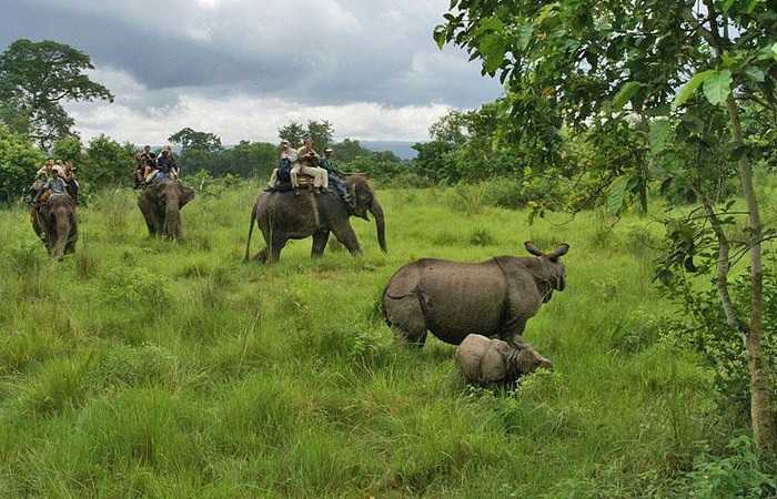 Национальный парк Читван, Индия Киплинга