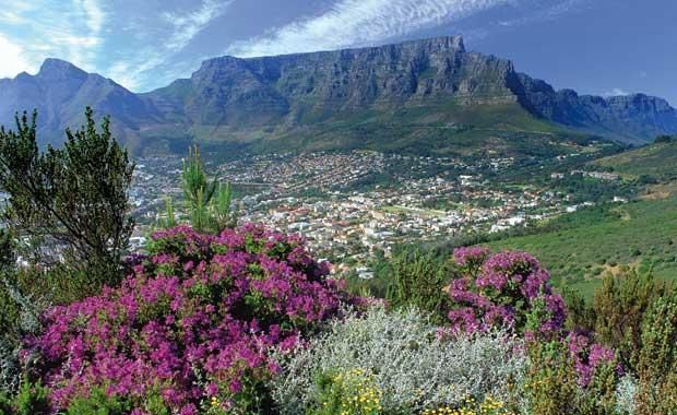 Климат Кейптауна, растительность биома финбош