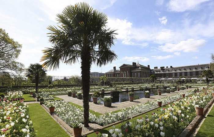 Кенсингтонский дворец, Белый сад Дианы фото