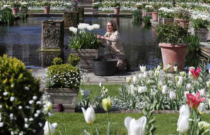 Пруд и Белый сад Дианы у стен Кенсингтонского дворца