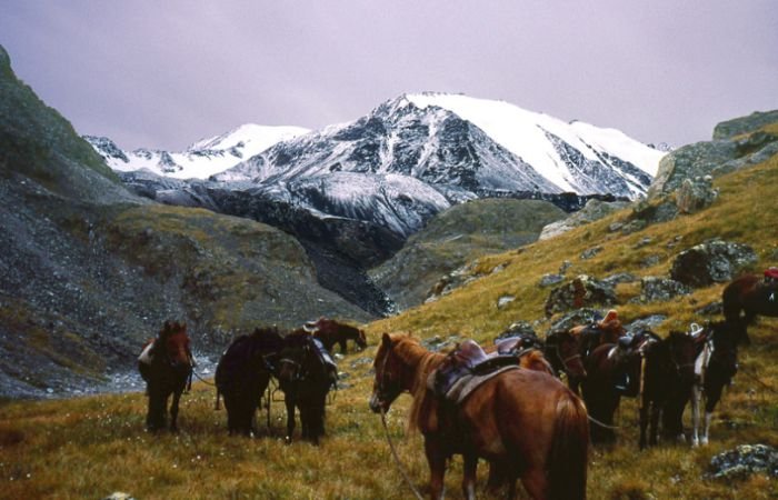 Куда поехать в январе на отдых - горный Алтай, фото