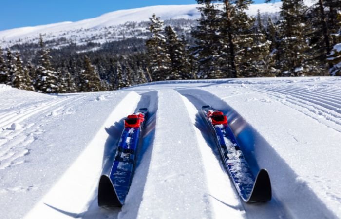 Горные лыжи: отдых в январе