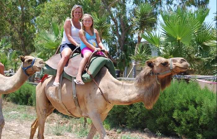 Ларнака развлечения для детей, катание на верблюдах в верблюжьем парке